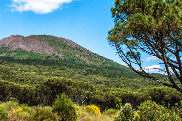 vesuvio-excursion